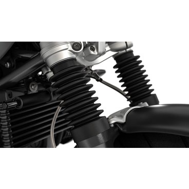 R nineT Scrambler